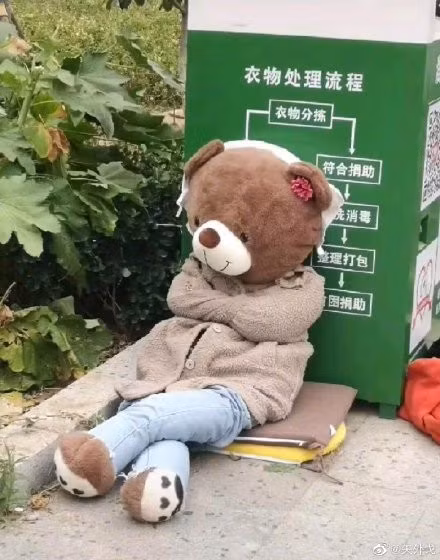 Hình ảnh chú gấu bông vô gia cư nhanh chóng nhận được sự chú ý của dân mạng. Ai cũng phải bật cười trước màn "đổi đời" của chú ta.