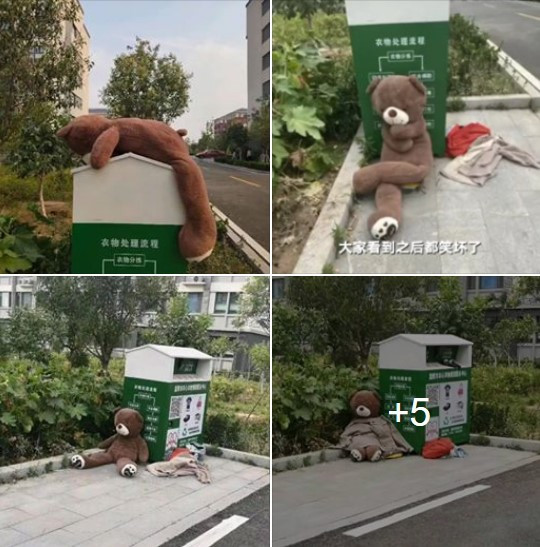 Bên cạnh đó, khi nó được trang bị cả mũ, khăn, khẩu trang... lại giống như người đi ăn xin ngủ dọc đường. Hình ảnh sang chảnh của chú gấu bông bỗng biến mất.