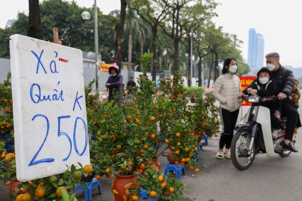 Có mặt trên khu vực phố Lê Đức Thọ - Q. Nam Từ Liêm, chứng kiếm nhiều tấm biển xả hàng với giá cả được ghi rõ ràng của các chủ hàng.