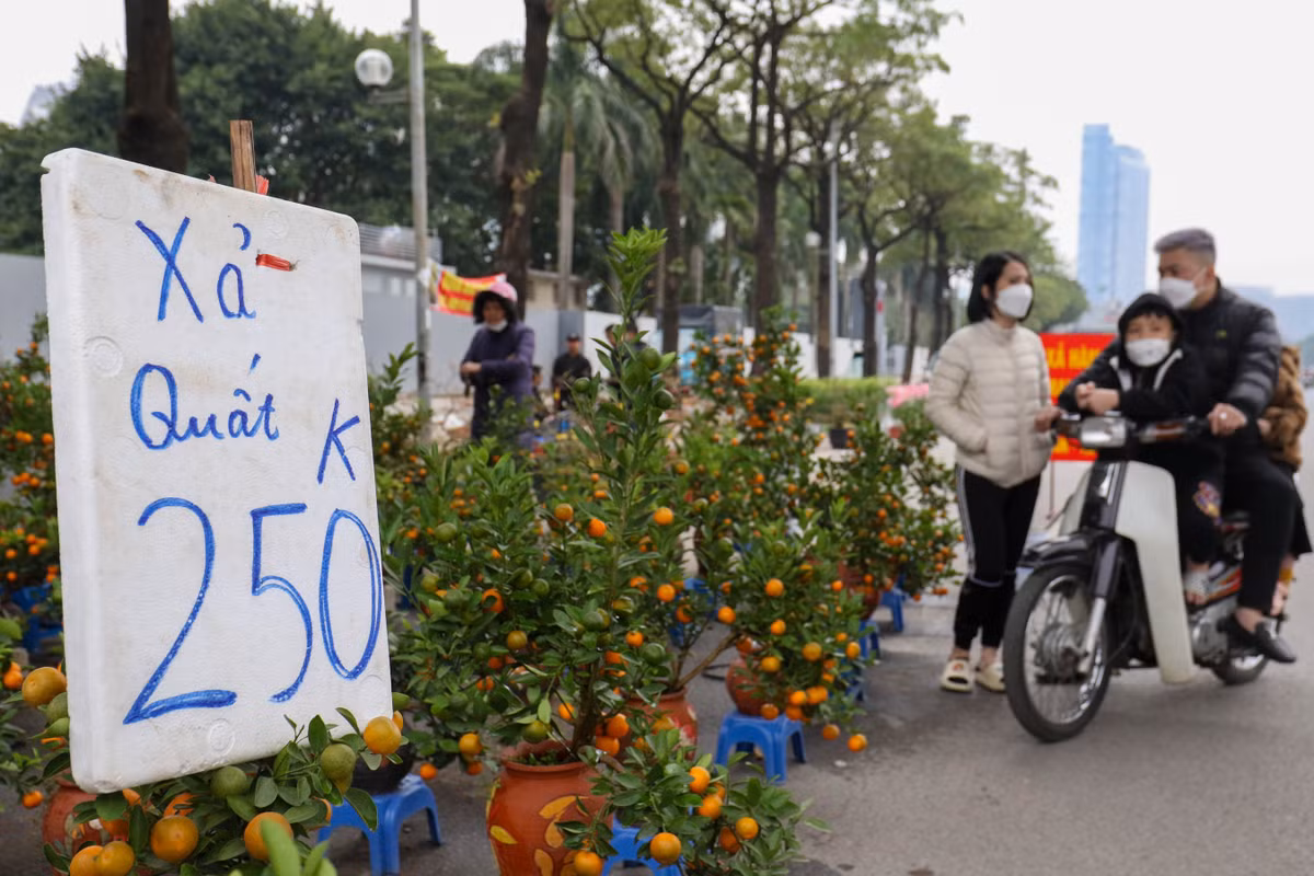 Có mặt trên khu vực phố Lê Đức Thọ - Q. Nam Từ Liêm, chứng kiếm nhiều tấm biển xả hàng với giá cả được ghi rõ ràng của các chủ hàng.