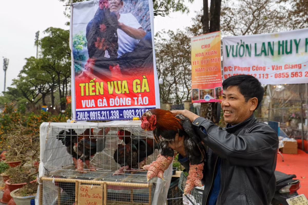 "Bên cạnh việc bán lẻ, nhà tôi cũng đưa các nhà hàng từ Bắc chí Nam nhưng năm nay buồn lắm chú ạ! cũng chẳng được là bao nhiêu. Nuôi thành phẩm mất 1 năm đến năm rưỡi nhưng bán cái giá này chẳng đủ tiền cám thóc" anh Phước tâm sự thêm.