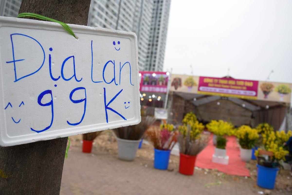 Địa lan bình thường có giá vài trăm ngàn tới cả triệu đồng nhưng với sức mua yếu, các tiểu thương phải kích cầu bằng giá sale khủng.