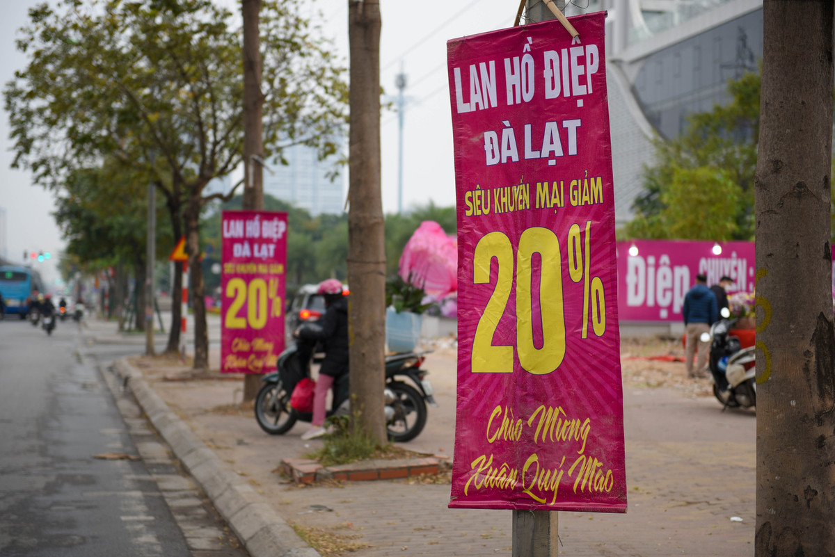 Xả nhẹ thì 20%, 50%... thậm chí còn có cửa hàng còn xả giá nào cũng bán.