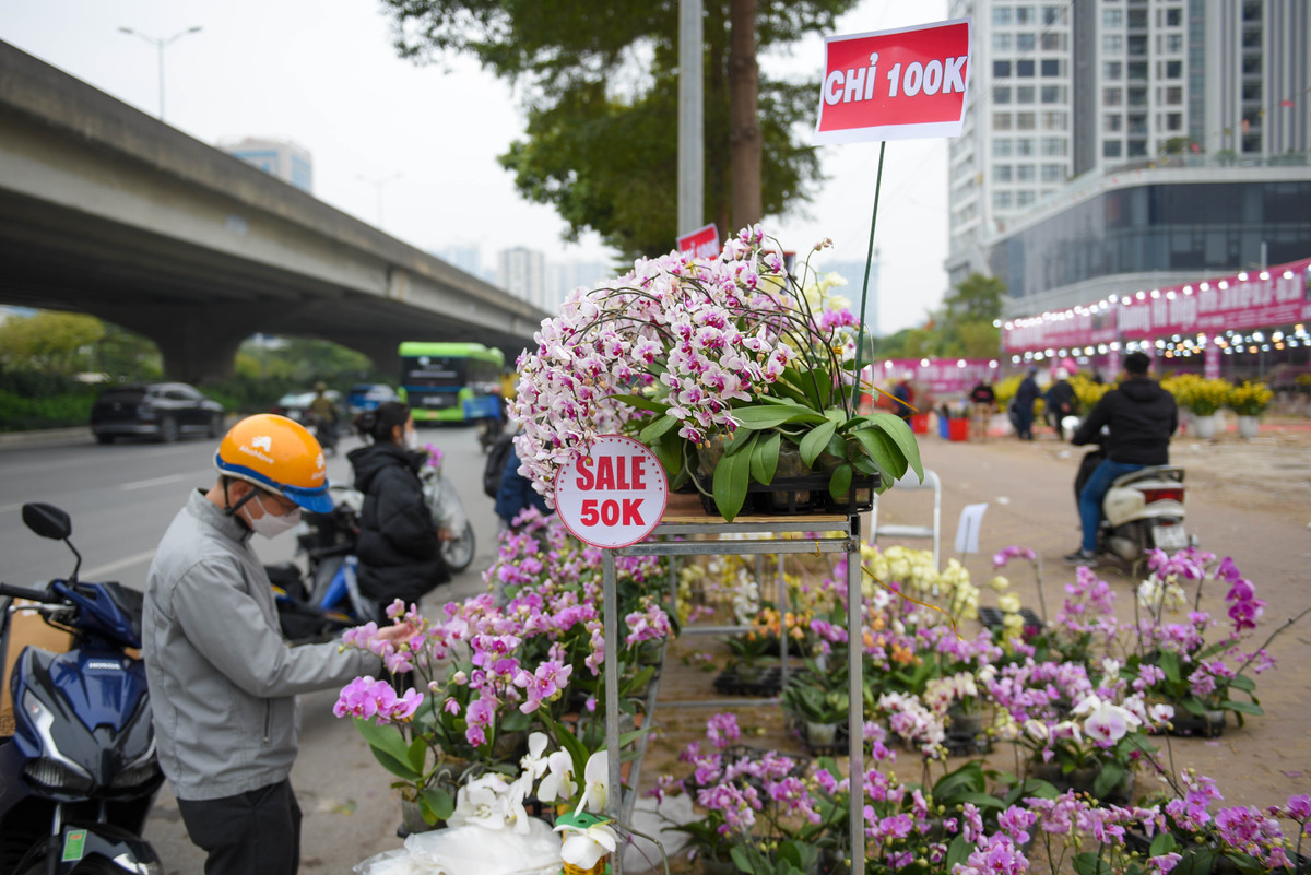 Nhưng giỏ lan sale còn 50.000 đồng đến 100.000 đồng nhưng vẫn còn đầy kệ hàng.