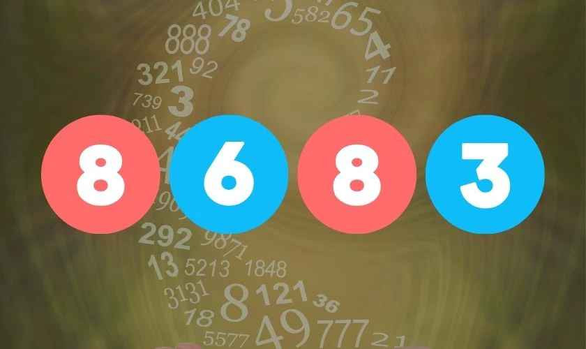 Ban đầu, nhiều người lầm tưởng rằng đây là dãy số được ghép từ biển số xe tỉnh Sóc Trăng (83) và tỉnh Bình Thuận (86). Thực chất, dãy số chính là lời chúc "phát tài, phát lộc" được mã hóa. Dựa trên lối phiên âm Hán - Việt, số 8 gần âm với "phát", tương tự số 3 với "tài" và số 6 với "lộc".