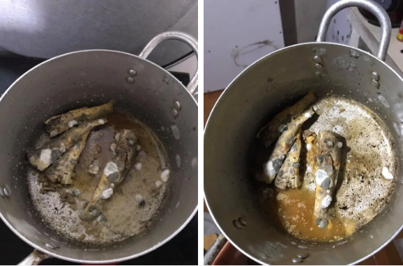 Trước đó, không ít lần tình trạng các bạn sinh viên vì vội về quê mà quê đồ ăn trong tủ lạnh và khi lên nhận phải hậu quả xứng tầm.