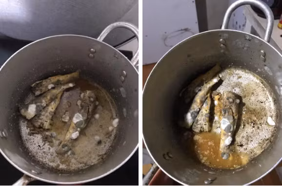 Trước đó, không ít lần tình trạng các bạn sinh viên vì vội về quê mà quê đồ ăn trong tủ lạnh và khi lên nhận phải hậu quả xứng tầm.