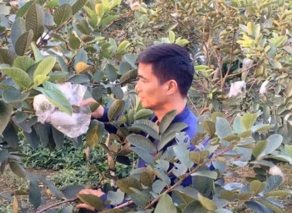 Lệ Rơi vẫn đang độc thân. Gia đình mong anh sớm yên bề gia thất song hiện tượng mạng một thời này cho rằng, mọi chuyện còn phụ thuộc vào chữ duyên chứ không thể cưỡng cầu.