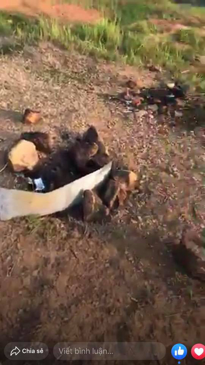 Tuy nhiên, sau khi nhận được tin báo về tình trạng xả rác bừa bãi trên ngọn đồi săn mây Đà Lạt, chủ nhân đã lập tức xác minh và cập nhật tình trạng.