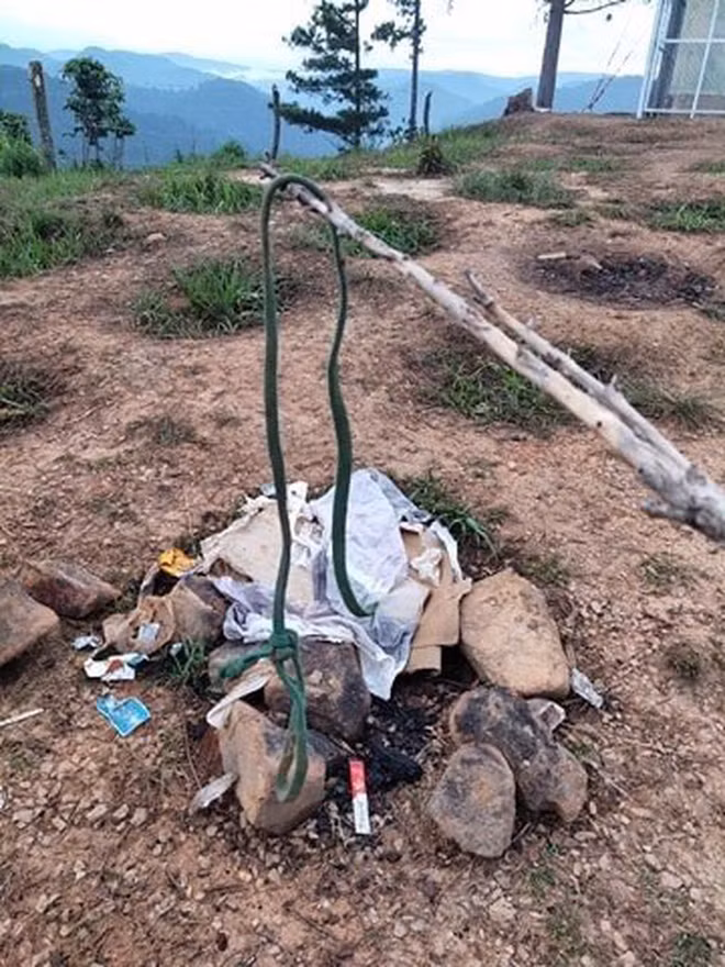 Cụ thể, trên trang cá nhân của mình, chị Hồ Phương Thảo (chủ nhân của ngọn đồi Yumonang) chia sẻ: "Hơn 1 năm trước, chị mình đã bỏ công, bỏ của trồng hơn 300 cây hoa anh đào, 200 cây dẻ sồi với mong muốn ngọn đồi thiêng Yumonang sẽ ngày càng rực rỡ, góp phần tạo nên sự xinh đẹp cho vùng đất Đạ Sar. Thời gian gần đây, ngọn đồi được các bạn trẻ lui tới thường xuyên vào buổi sáng để săn mây. Khi nghe tin ấy, chị em mình cũng thấy vui vì cuối cùng vẻ đẹp của Yumonang cũng được biết đến 1 cách rộng rãi. Trước đây thì chỉ có các anh chị nhiếp ảnh gia tìm lên là chủ yếu".