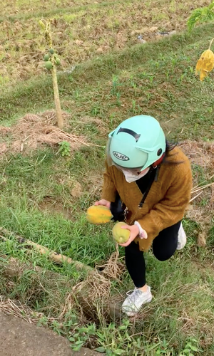 Đang đi ăn trộm nhưng nhóm bạn trẻ này dường như rất hào hứng, thích thú với "chiến lợi phẩm" thu được.