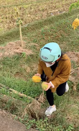 Đang đi ăn trộm nhưng nhóm bạn trẻ này dường như rất hào hứng, thích thú với "chiến lợi phẩm" thu được.