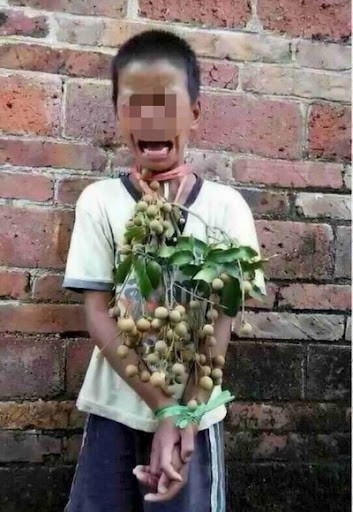 "Trộm 1-2 bắp về ăn chơi còn chấp nhận được, chứ trộm hết cả vườn người ta rồi. Không hiểu kiểu gì, còn quay video lại khoe như tự hào lắm vậy" hay "Người nông dân trồng vất vả lắm. Niềm vui của các bạn nhưng là nỗi buồn của người khác"... là những bình luận dân mạng phẫn nộ với hành vi trộm ngô của nhóm bạn trẻ trên.