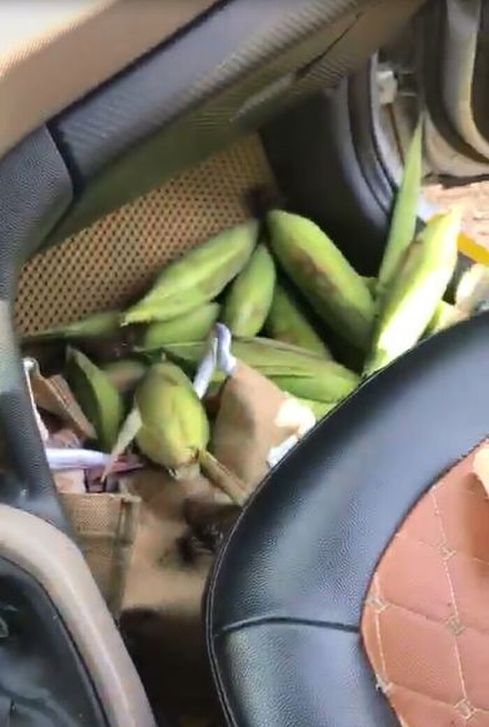 Cụ thể, dân mạng bức xúc với đoạn clip quay cảnh một nhóm bạn trẻ đi ô tô sang chảnh, diện váy áo chỉnh tề nhưng lại có hành động đáng xấu hổ là bẻ trộm ngô.