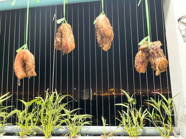 Bên cạnh những màn thể hiện thịt ba chỉ treo nắng thành công thì còn đó không ít thất bại và trở thành thảm họa nấu nướng.