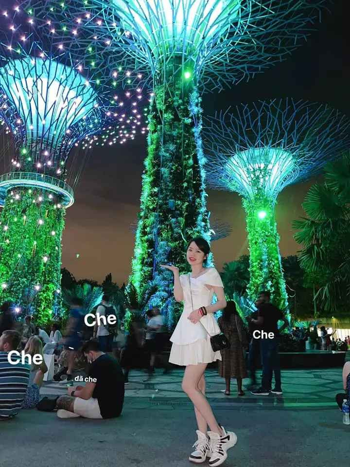 Xin khẳng định là "đã che" nhé.