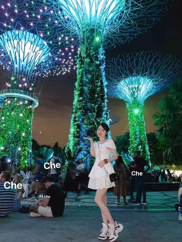 Xin khẳng định là "đã che" nhé.