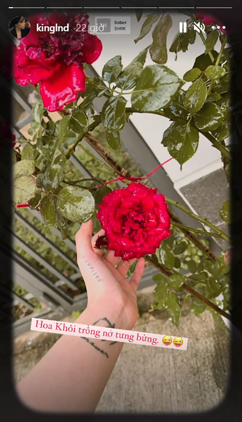 Ngay cả khi bị cộng đồng mạng "réo tên" khi người yêu cũ là Bụt nghi vấn có người yêu mới thì Linh Ngọc Đàm cũng chẳng mảy may quan tâm.