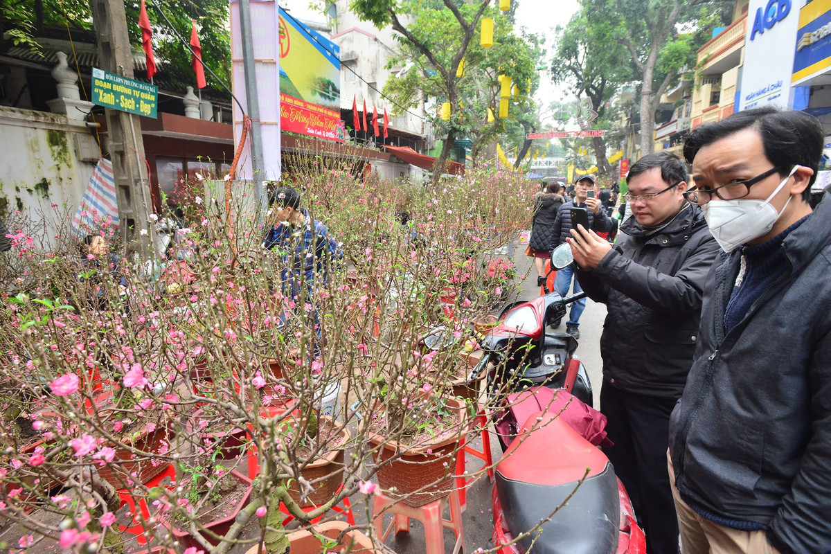 Các loại hoa, cây cảnh ở chợ Hàng Lược được chọn lọc nên có đắt hơn đôi chút, nhưng lại làm ưng lòng người mua.