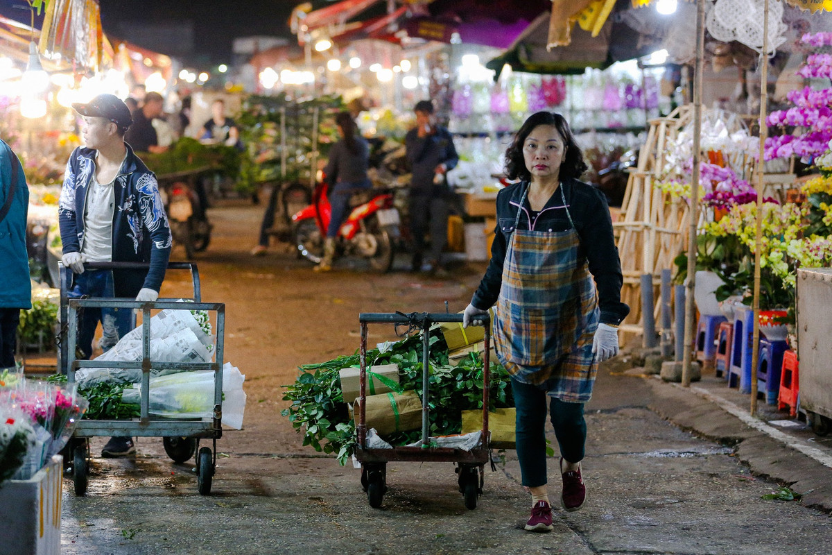 Dịp cận Tết nhiều xe container chuyển hoa từ nhiều miền của Tổ quốc về quy tự tại chợ hoa Quảng An tăng thêm phần nhộn nhịp cho khu chợ này.