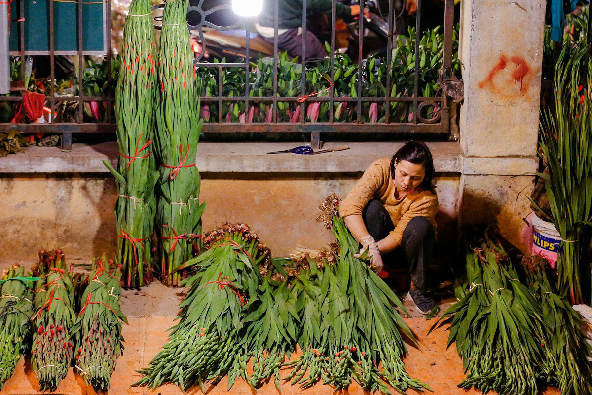 Hàng ngàn loại hoa từ khắp mọi miền Tổ quốc hay được nhập từ nước ngoài về đều có mặt tại chợ hoa Quảng An dịp cận Tết.