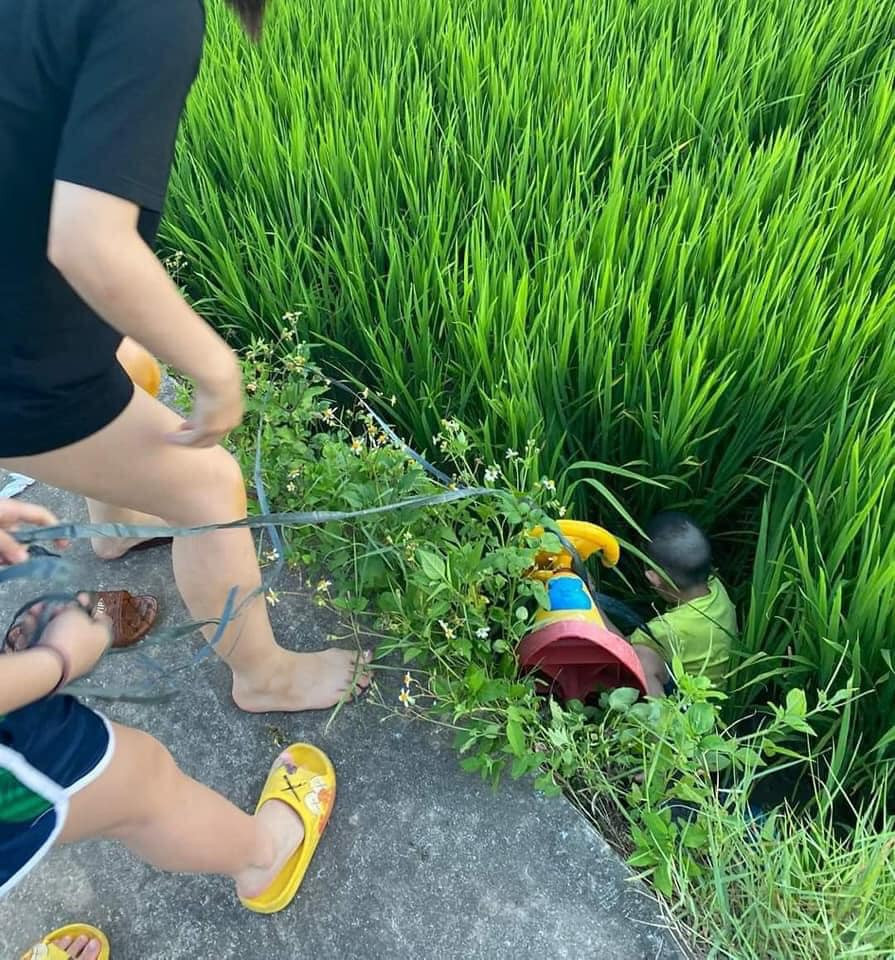 Sau một hai bức ảnh đầu, người xem có tâm trạng bình yên với cảnh chiều tà và bao la cánh đồng lúa thì ngay sau đó, bé trai đã bị lao xuống ruộng cả xe lẫn người.