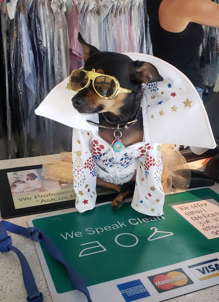 Chu cho so huu tu quan ao nghin USD, khong bao gio mac lai hai lan-Hinh-4