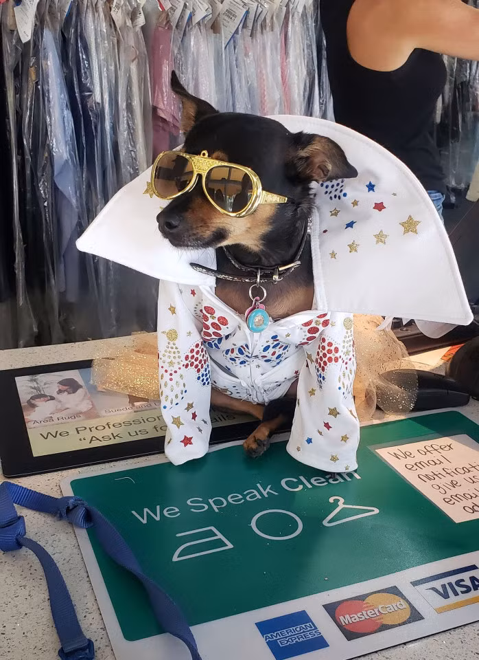 Chu cho so huu tu quan ao nghin USD, khong bao gio mac lai hai lan-Hinh-4