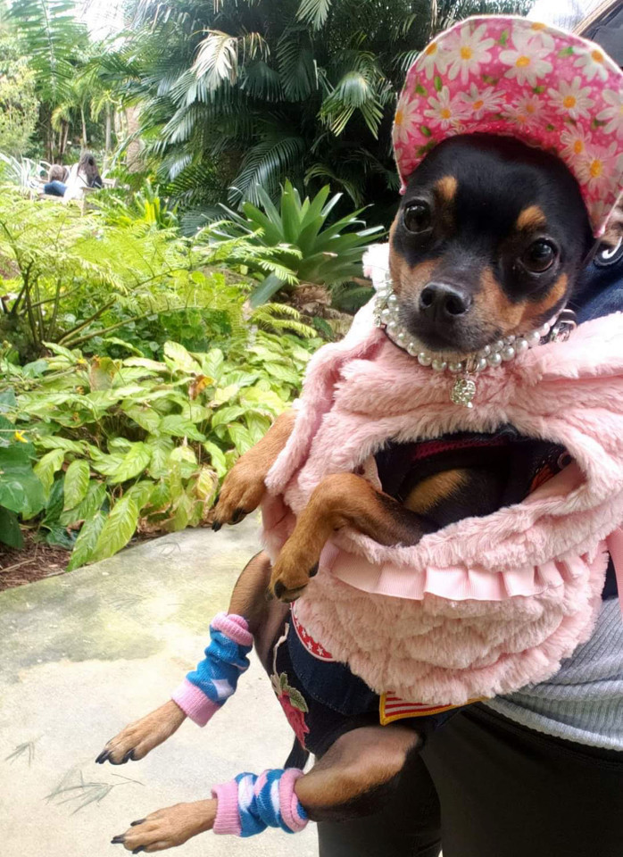 Chu cho so huu tu quan ao nghin USD, khong bao gio mac lai hai lan-Hinh-6