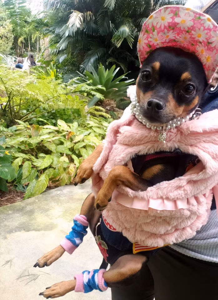 Chu cho so huu tu quan ao nghin USD, khong bao gio mac lai hai lan-Hinh-6