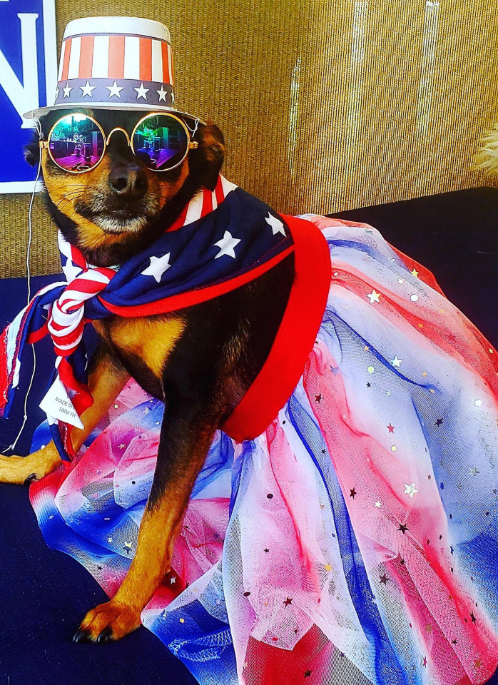 Chu cho so huu tu quan ao nghin USD, khong bao gio mac lai hai lan