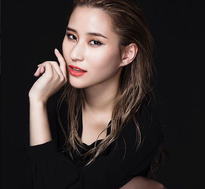 Hà Siêu Liên thường xuyên diện các đồ từ các thương hiệu xa xỉ trên thế giới như Louboutin, Jimmy Cho, Dior, Valentino, Burberry...