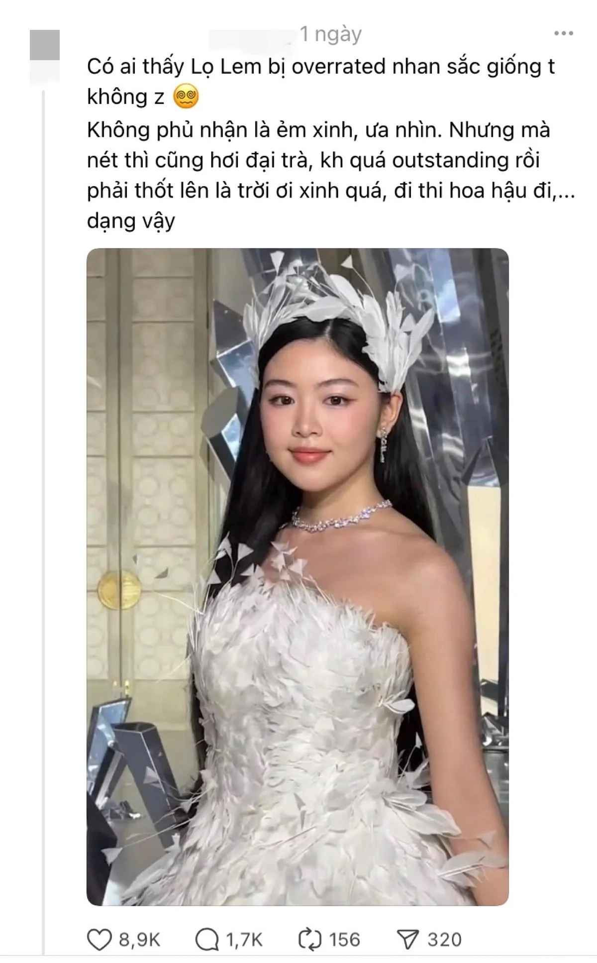 Cụ thể một người ẩn danh đã nêu quan điểm riêng: "Có ai thấy Lọ Lem bị overrated (tạm dịch là đánh giá quá cao) nhan sắc giống tôi không vậy? Không phủ nhận là ẻm xinh, ưa nhìn. Nhưng mà nét thì cũng hơi đại trà, không quá outstanding (tạm dịch là nổi bật) rồi phải thốt lên là trời ơi xinh quá, đi thi hoa hậu đi... dạng vậy".