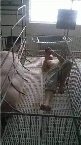 Cụ thể, trên một diễn đàn thu hút tới gần 1 triệu người theo dõi các thành viên bình luận sôi nổi trước loạt ảnh những ông chồng cãi nhau với vợ và nhận cái kết không thể lạnh lẽo hơn.