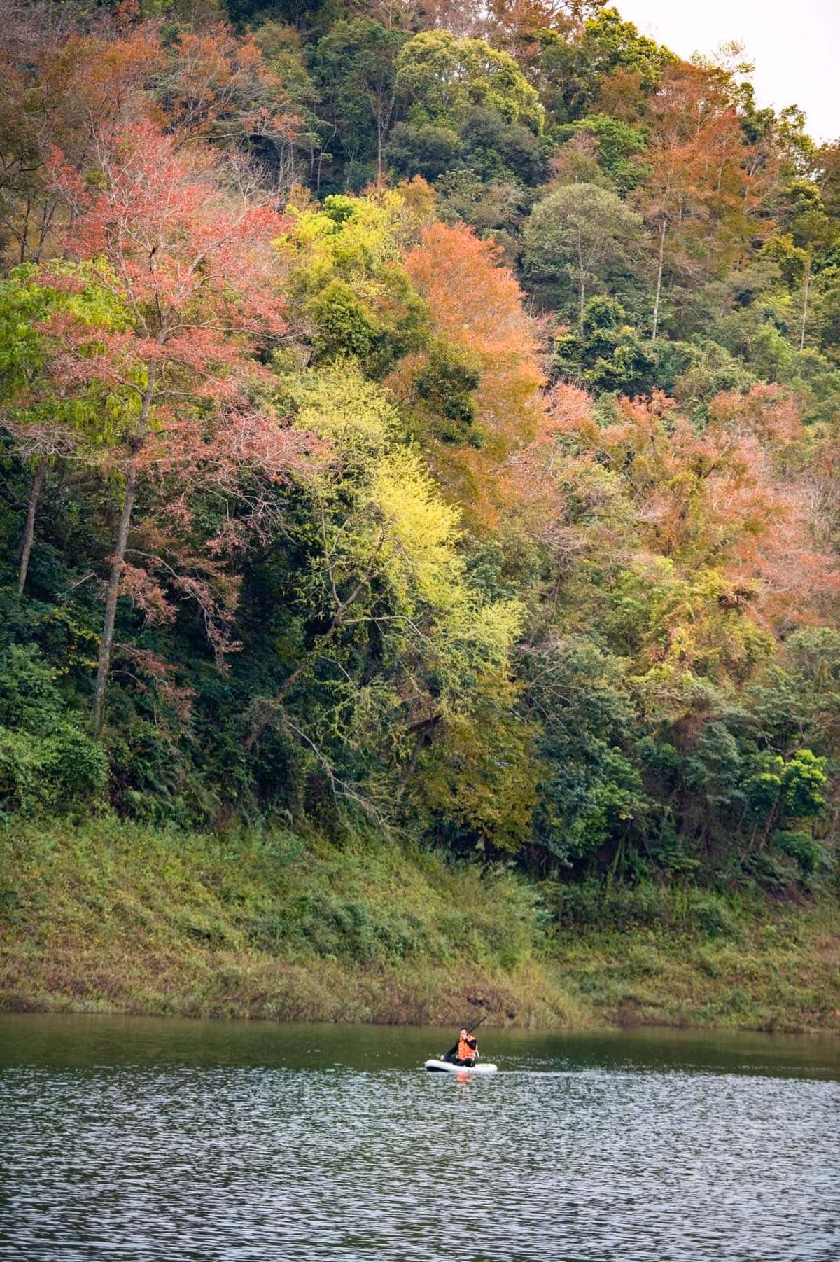 Đặc biệt là một đoạn video clip với chủ đề có tên "Mảnh ghép Việt Nam, mảnh ghép Cao Bằng" vừa được đăng tải trên Fanpage Non nước Cao Bằng đã thu hút hàng triệu lượt người trên Facebook tương tác và chia sẻ." - đoạn trích xuất hiện hình ảnh của Độ Mixi trong chuyến đi Cao Bằng.