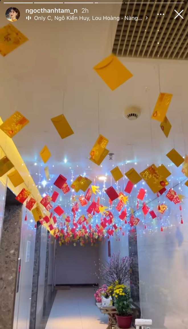 Cũng như nhiều người, dịp gần Tết dù bận bịu với những công việc riêng nhưng Ngọc Thanh Tâm cũng trang hoàng nhà cửa để đón năm mới. Thậm chí, nhiều người còn cho rằng ái nữ đại gia thủy sản này chính là người mở đầu đường đua dọn nhà ăn Tết của hội con nhà giàu Việt Nam.