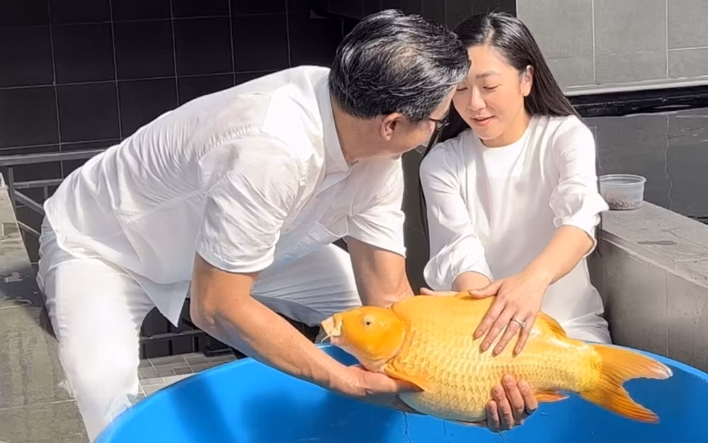 “Vua cá Koi” cũng đã quay trở lại công việc. Mặc dù bận rộn nhưng nam doanh nhân vẫn luôn dành thời gian cho bà xã khi cô cần. Không những tháp tùng bà xã đi diễn, anh còn không nề hà trong việc chi một số tiền lớn để tặng vợ những món quà giá trị.