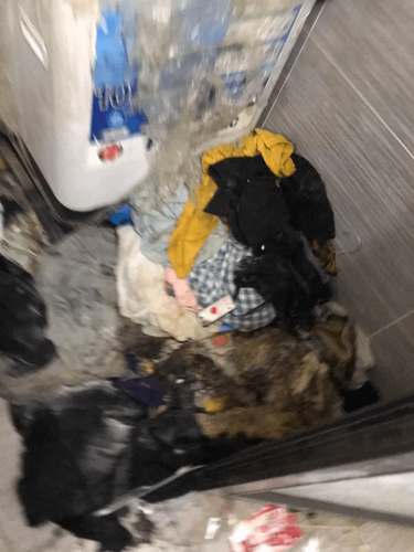 Được biết, chủ trọ đã phải dành cả buổi để dọn dẹp đống rác kể trên với tổng số bao rác được gom lại có khả năng vượt quá 50 bao.