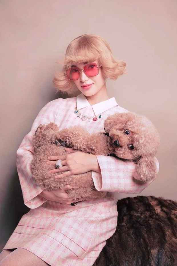 Châu Bùi nghẹn ngào chia sẻ câu chuyện lên story của mình: "Bí gặp tai nạn lúc vận chuyển từ máy bay, khi các cô chú đưa xuống kho hàng, do sơ xuất mà để hàng tấn hàng khác đè vỡ chuồng và đè vào người con. Hạ cánh mẹ háo hức đi đón con, mà đến nơi mẹ lặng người...