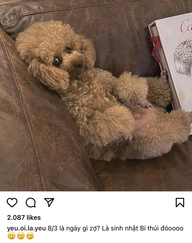 Trên trang cá nhân của mình, Châu Bùi không ít lần đăng tải ảnh về chú cún cưng mang tên Bí.