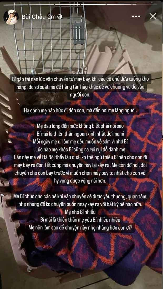 Trước đó, Châu Bùi đăng ảnh bé cún Bí. Vì là lần đầu Bí đi máy bay về quê ăn Tết, nên nàng hot girl cũng dặn dò thêm đừng sợ vì đã có "mẹ" bay cùng chuyến.