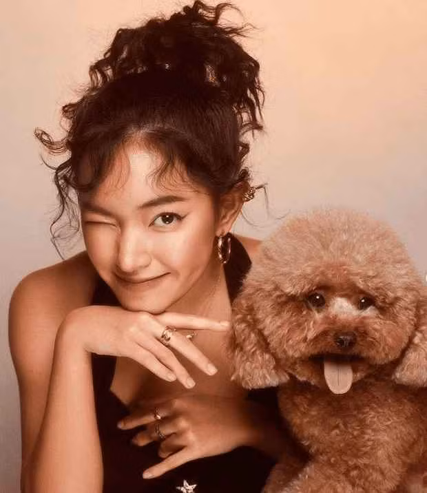 Tuy nhiên, chuyện không hay đã xảy ra. Bé Bí gặp tai nạn ngay trên chuyến bay này.