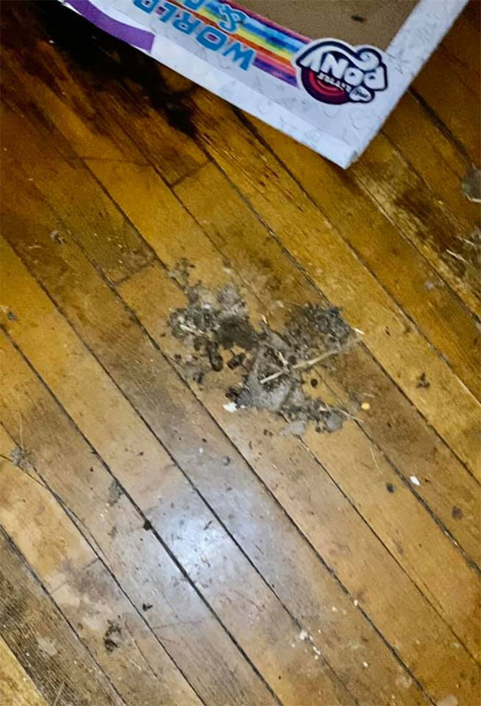 Trong bài đăng dài, Jerry tiết lộ rằng người thuê nhà đã vượt qua tất cả các bước "điều tra lý lịch" ban đầu và thậm chí "thánh ở bẩn" còn nộp trước cả tiền an ninh và tiền thuê tháng đầu tiên, nhưng đó là khi cơn ác mộng bắt đầu' Chỉ sau nửa năm họ đã gây ra thiệt hại lên tới 7500 bảng Anh.