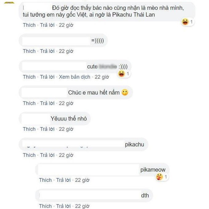 Hiện nay hình ảnh của cô mèo Pikachu Kapuong được chia sẻ khắp các diễn đàn. Mỗi bài đăng đều nhận về hàng chục ngàn lượt tương tác từ dân mạng.