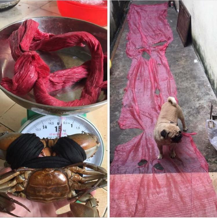 Trước đó, cộng đồng mạng từng nhiều phen cười ra nước mắt với những màn "mua dây được khuyến mãi cua" nhìn mà thấy tức.