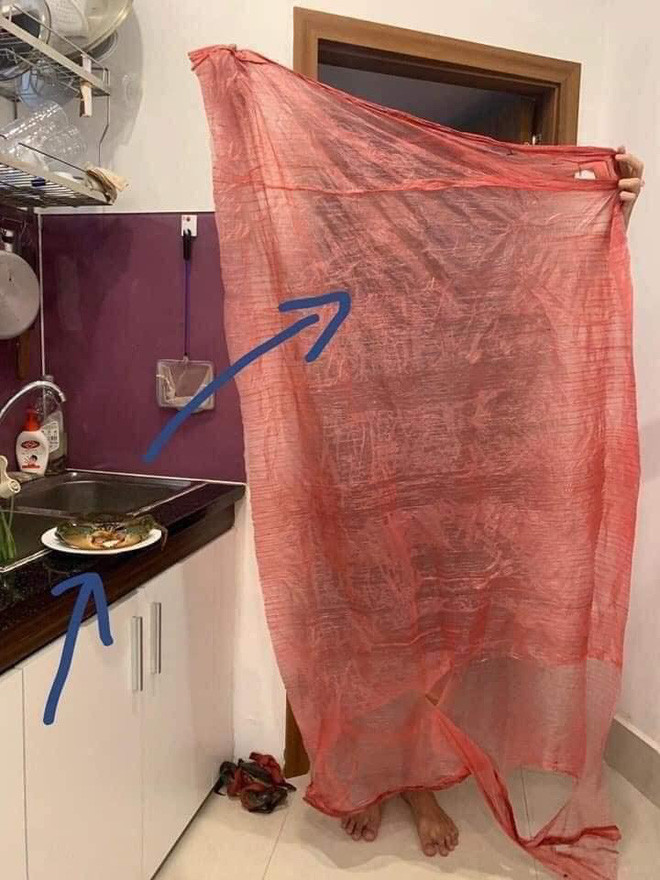 Tới lúc mở dây của con cua đầu tiên ra, cô miêu tả nó to tới mức có thể làm thành… cái áo mưa.