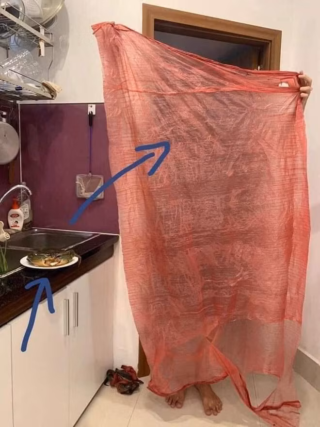 Tới lúc mở dây của con cua đầu tiên ra, cô miêu tả nó to tới mức có thể làm thành… cái áo mưa.