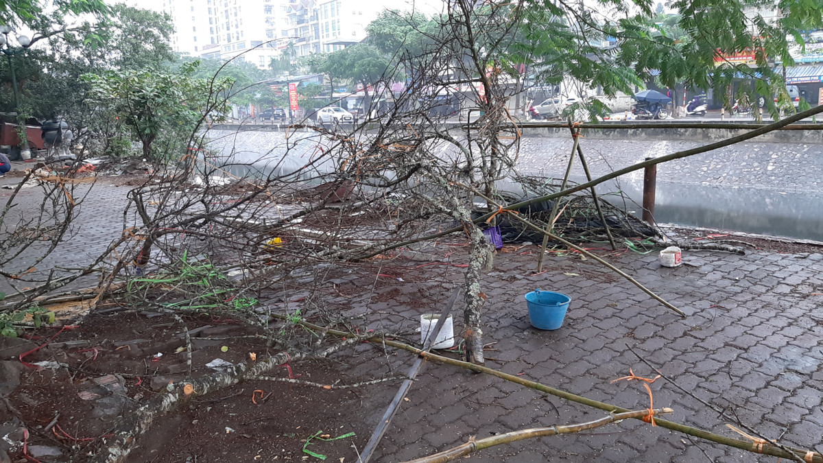 ... Tự tay mình đập xót lắm chứ nhưng chấp nhận thôi chẳng nhẽ lại bê cả về để làm củi hay sao chú" - anh Sĩ nghẹn ngào chia sẻ với PV Kiến Thức.