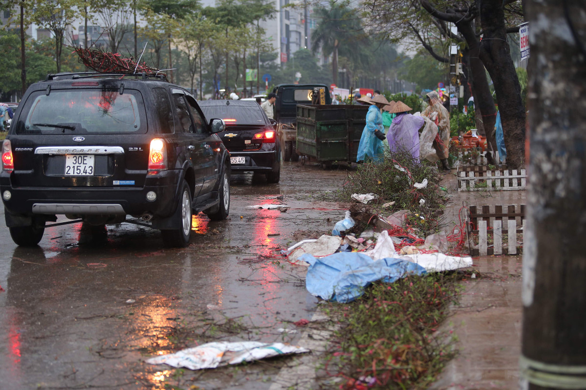 Từng được định giá từ vài trăm ngàn đến vài triệu đồng nhưng vì không bán được nên nhiều tiểu thương đã phải "gạt nước mắt", đập đi những chậu cây cảnh mà mình từng nâng niu.