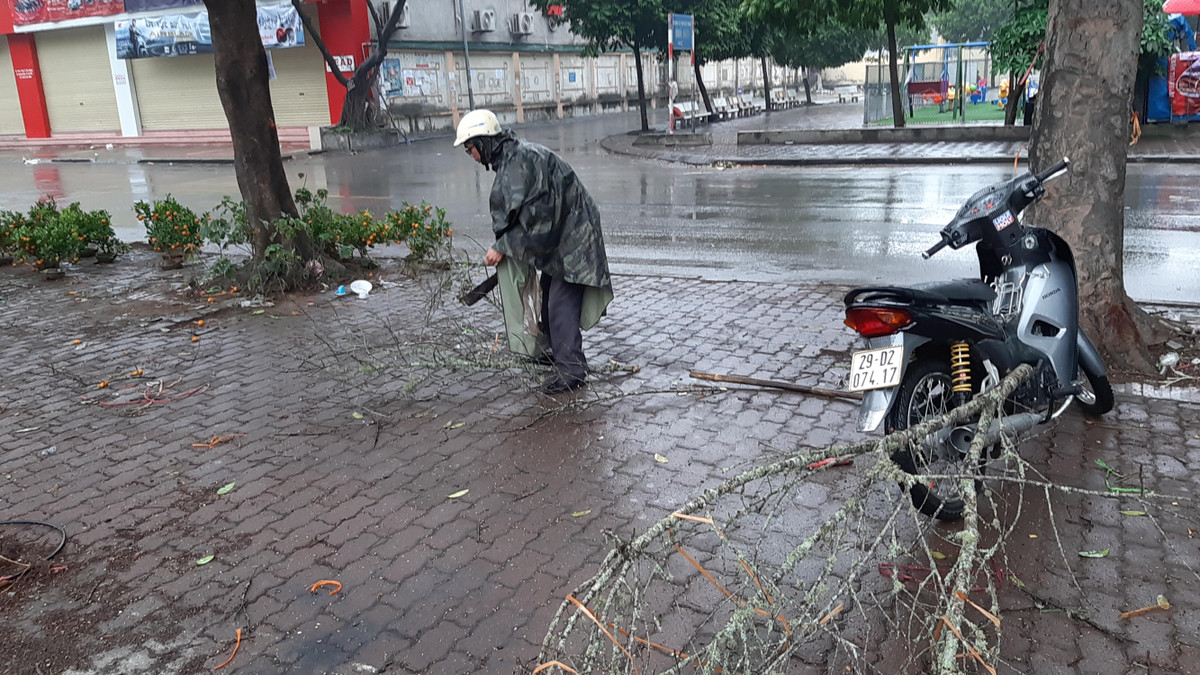 Những chậu hoa, quất cảnh các loại đã bị chủ hoa đập bỏ chứ không để những người muốn lấy về dùng miễn phí.
